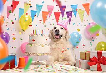 How to Organize a Pet Birthday Party: Celebrate in Style
